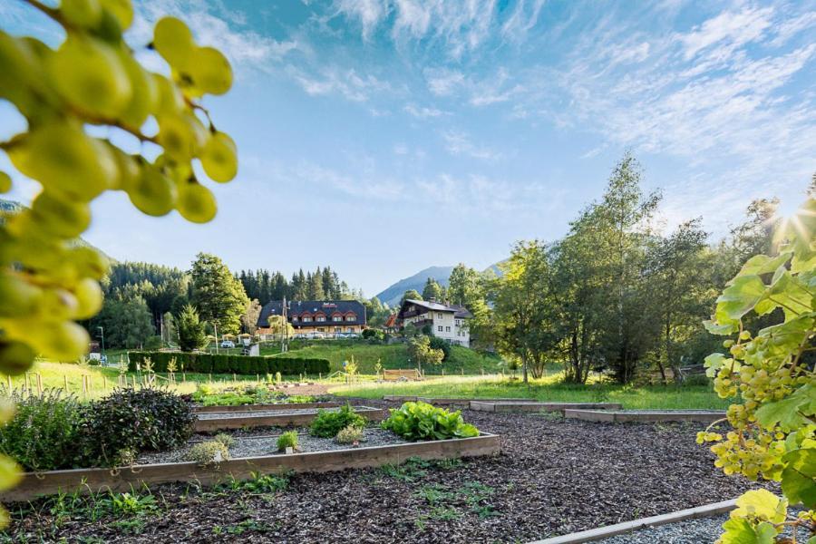 Hotel Vitaler Landauerhof Schladming Extérieur photo